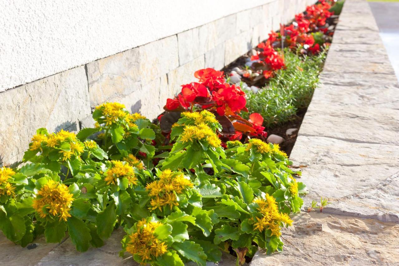 Apartments Oeneus Racic Екстер'єр фото